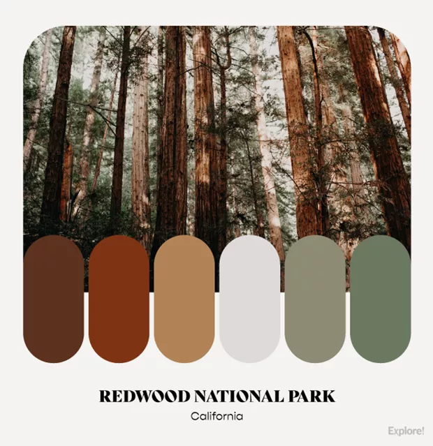 Trending USA National Park Color Palettes - Explore Worldwide