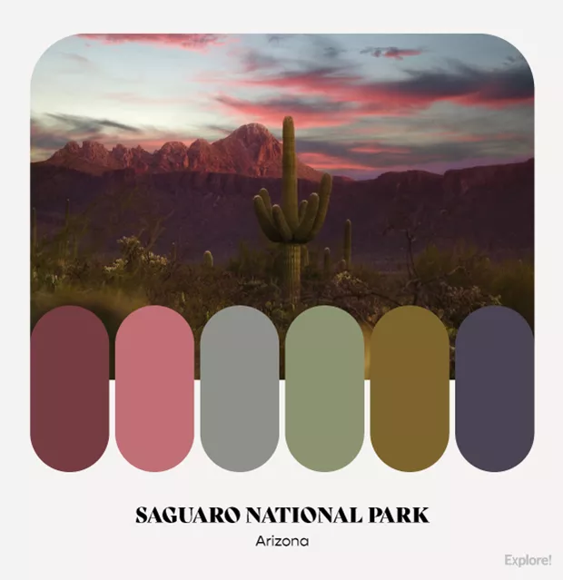 Trending USA National Park Color Palettes - Explore Worldwide