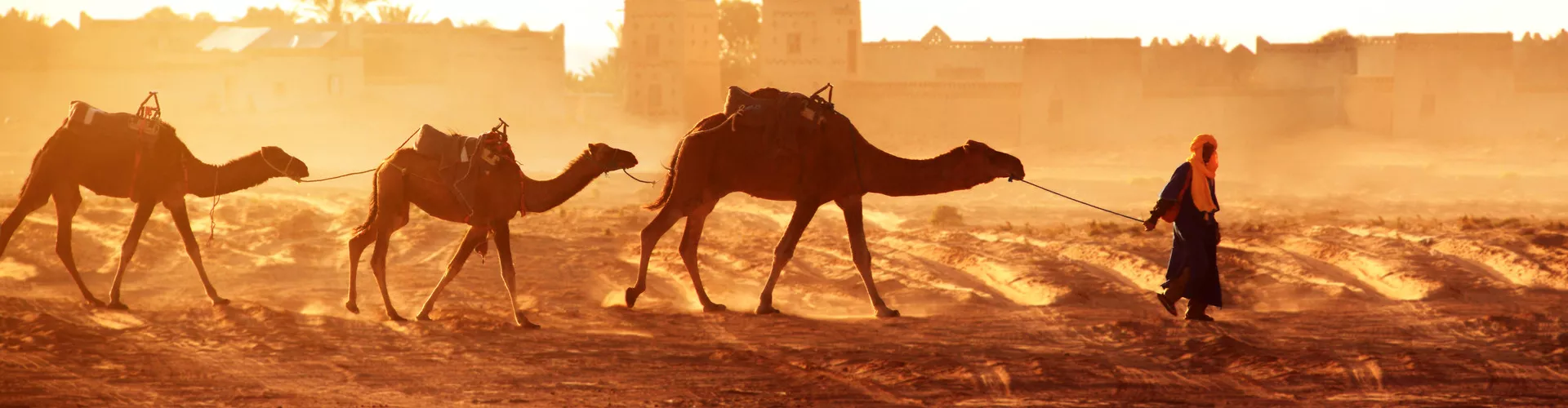 A Moroccan Safari: Wildlife Encounters in the Atlas Mountains - Wildlife Encounters