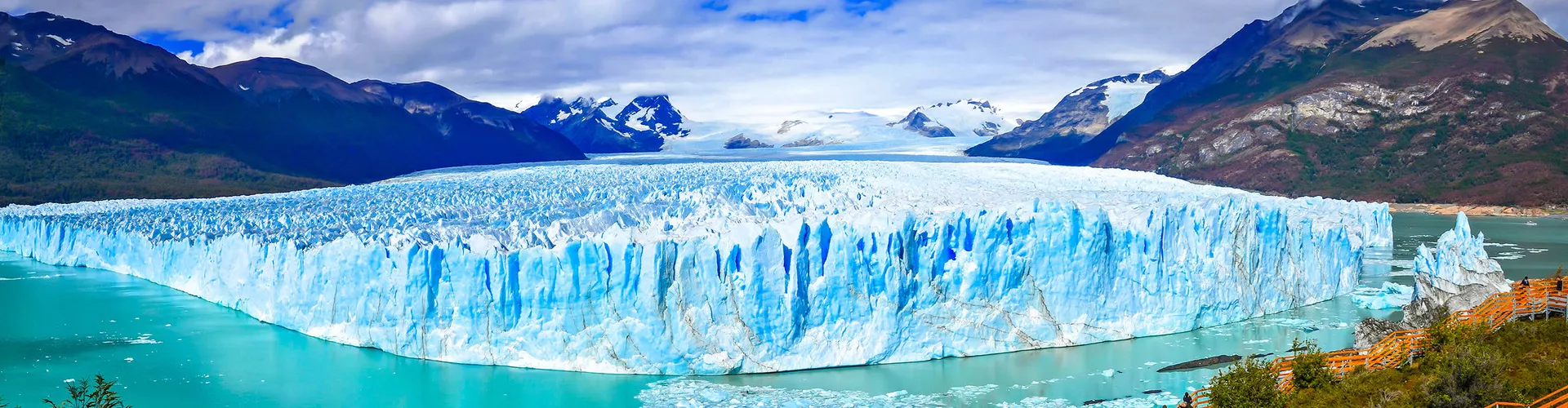 Argentina Adventure Tips: From Patagonia to Iguazu Falls - Wildlife spotting in Patagonia